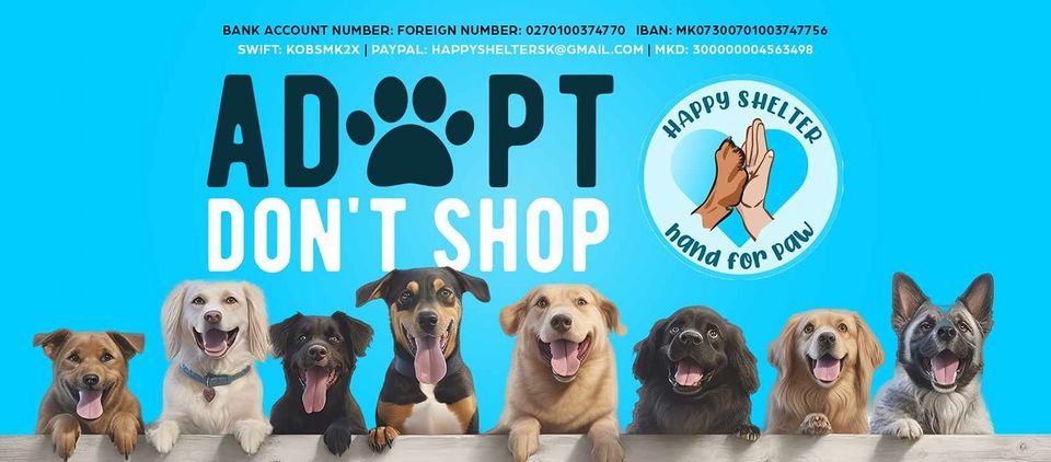 Σκύλος και γάτα σε ασφαλές περιβάλλον